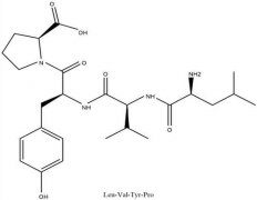 多肽的副作用是什么？